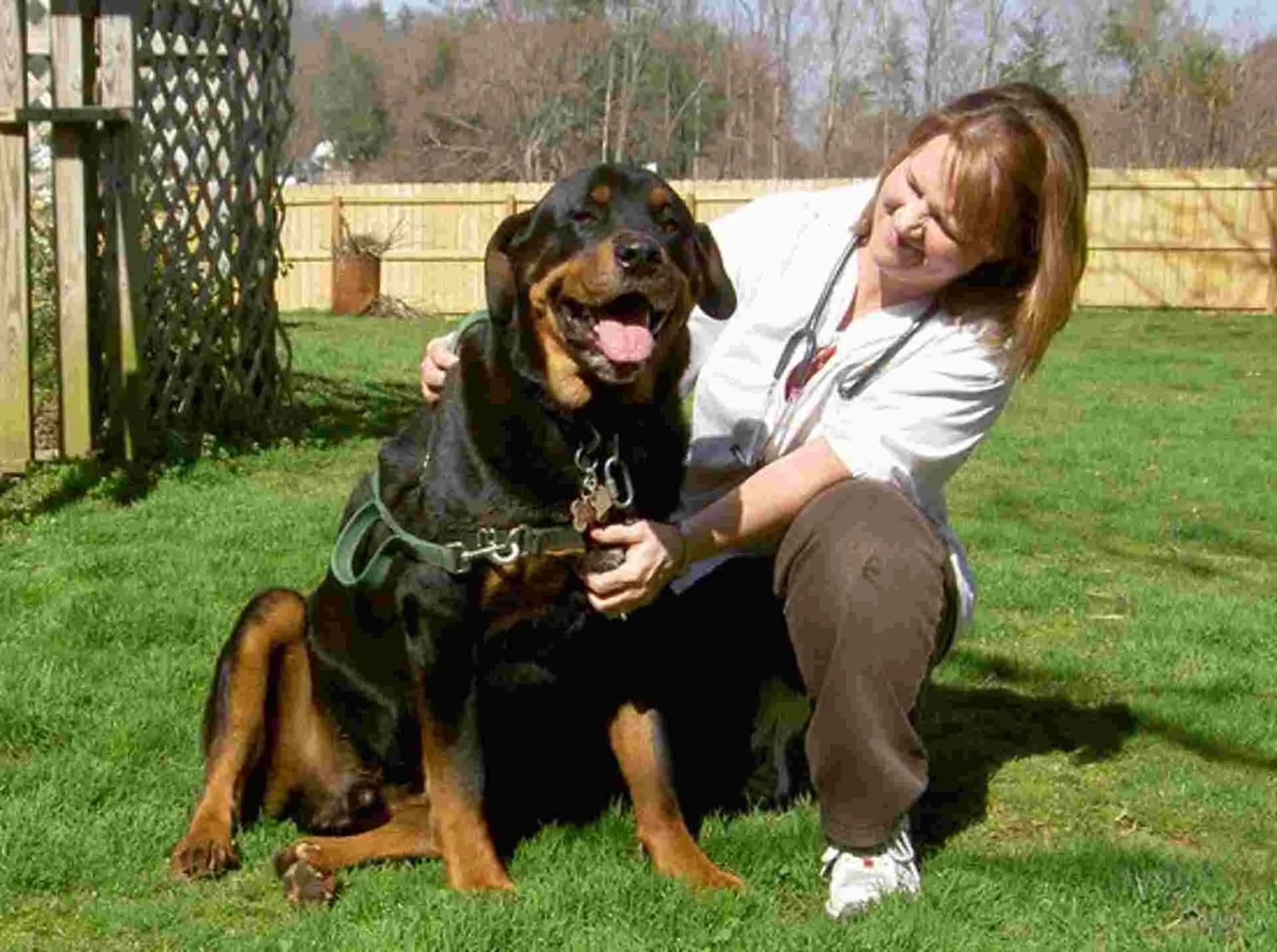 A member of the Unicoi Animal Hospital team with a Rottweiler outside the clinic